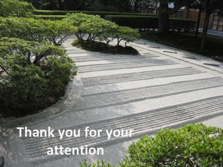 Thank you for your attention 