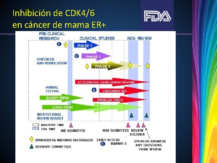 Inhibición de CDK 4/6 en cáncer de mama ER+ 