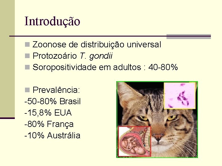 Introdução n Zoonose de distribuição universal n Protozoário T. gondii n Soropositividade em adultos