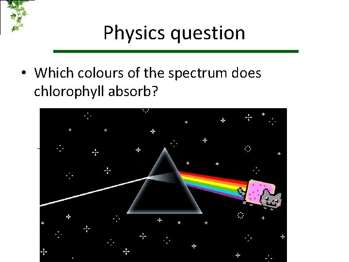 Physics question • Which colours of the spectrum does chlorophyll absorb? ? 