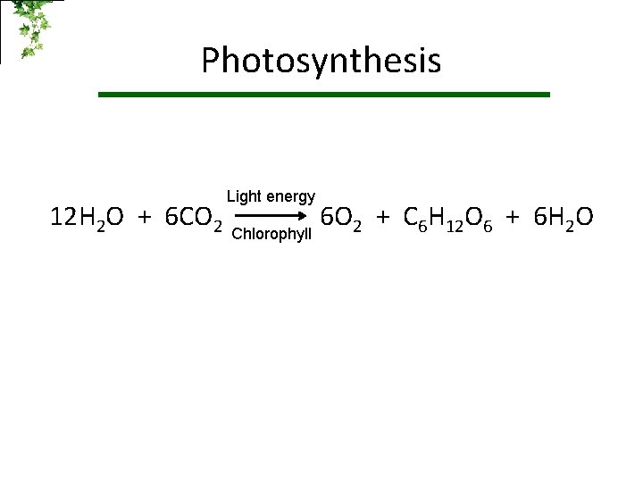 Photosynthesis 12 H 2 O + 6 CO 2 Light energy Chlorophyll 6 O