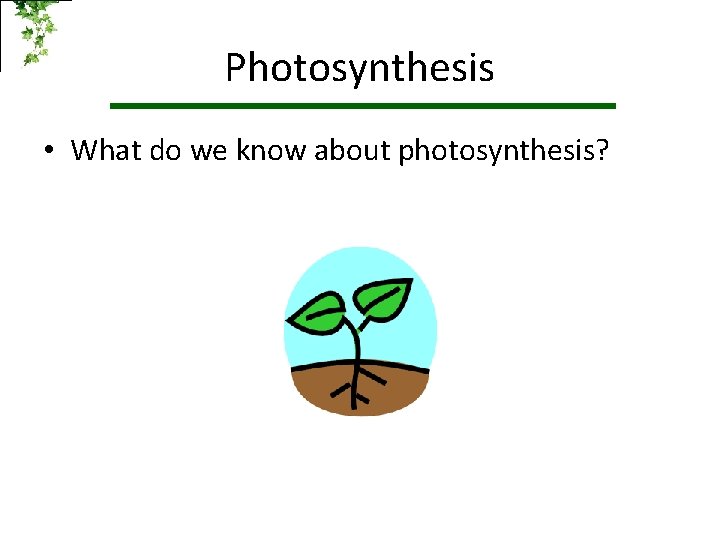 Photosynthesis • What do we know about photosynthesis? 