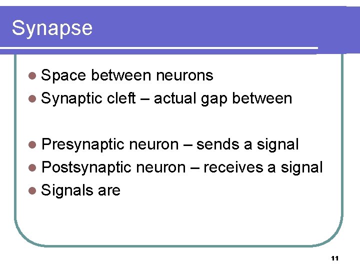 Synapse l Space between neurons l Synaptic cleft – actual gap between l Presynaptic
