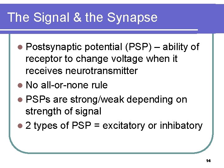 The Signal & the Synapse l Postsynaptic potential (PSP) – ability of receptor to