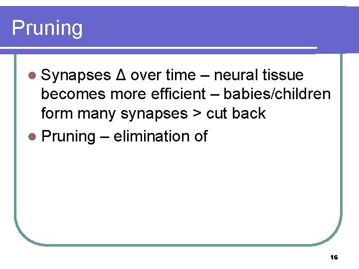 Pruning l Synapses Δ over time – neural tissue becomes more efficient – babies/children