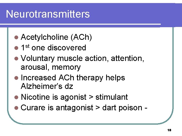 Neurotransmitters l Acetylcholine (ACh) l 1 st one discovered l Voluntary muscle action, attention,
