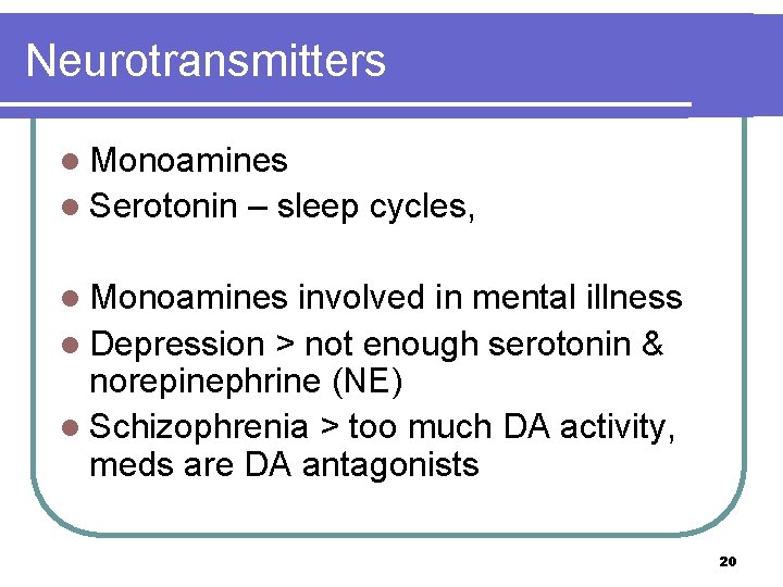 Neurotransmitters l Monoamines l Serotonin – sleep cycles, l Monoamines involved in mental illness