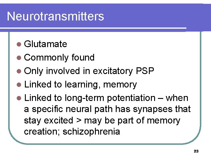 Neurotransmitters l Glutamate l Commonly found l Only involved in excitatory PSP l Linked