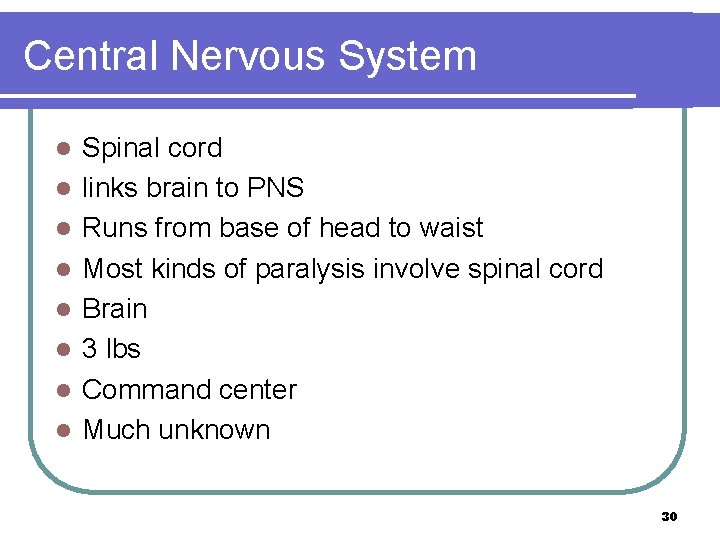 Central Nervous System l l l l Spinal cord links brain to PNS Runs