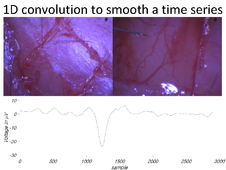 1 D convolution to smooth a time series 1 D convolution to smooth a time series