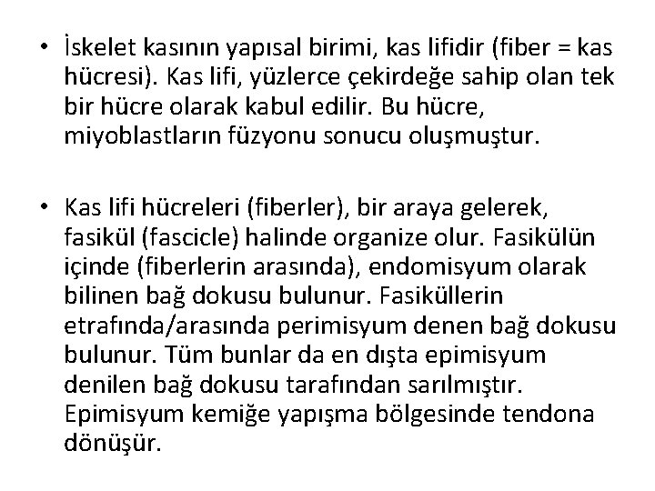  • İskelet kasının yapısal birimi, kas lifidir (fiber = kas hücresi). Kas lifi,