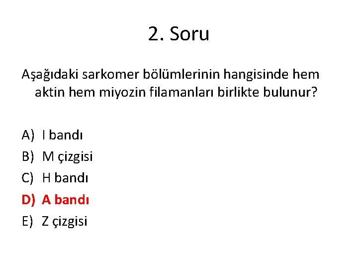 2. Soru Aşağıdaki sarkomer bölümlerinin hangisinde hem aktin hem miyozin filamanları birlikte bulunur? A)