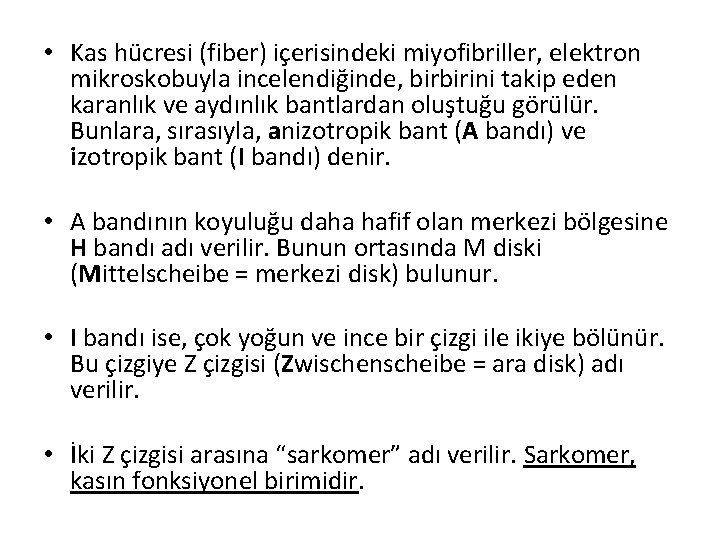  • Kas hücresi (fiber) içerisindeki miyofibriller, elektron mikroskobuyla incelendiğinde, birbirini takip eden karanlık