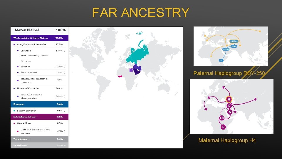 FAR ANCESTRY Paternal Haplogroup RBY-250 Maternal Haplogroup H 4 