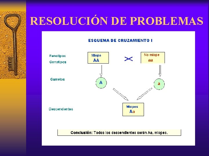 RESOLUCIÓN DE PROBLEMAS 