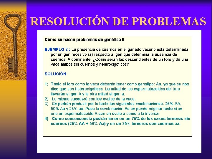 RESOLUCIÓN DE PROBLEMAS 