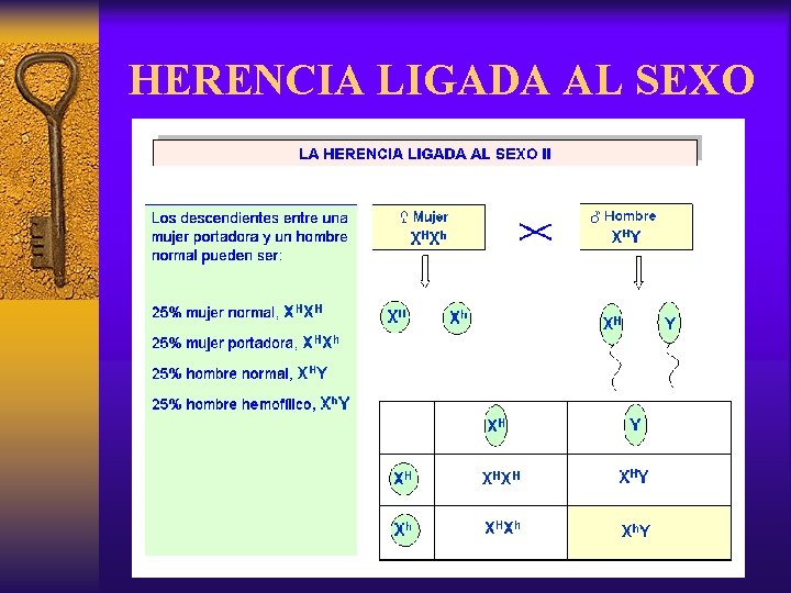 HERENCIA LIGADA AL SEXO 