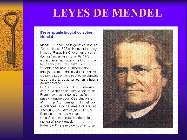LEYES DE MENDEL 