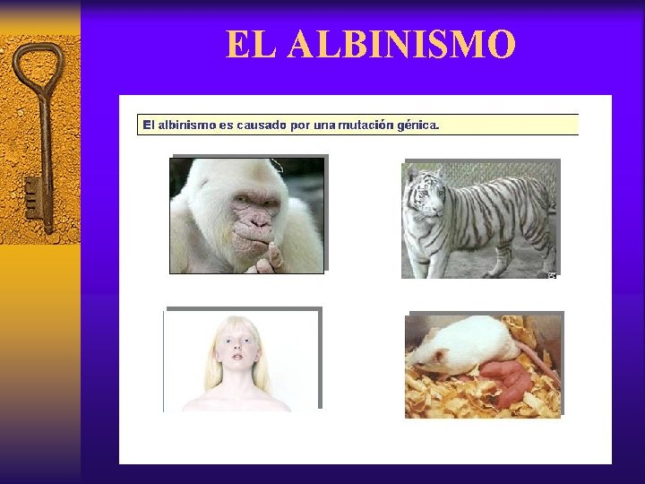 EL ALBINISMO 