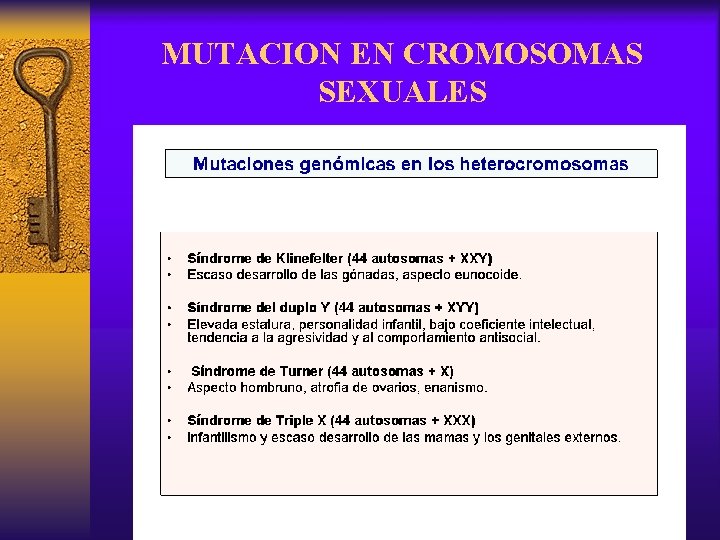 MUTACION EN CROMOSOMAS SEXUALES 