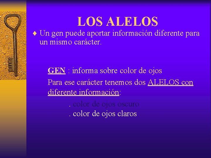 LOS ALELOS ¨ Un gen puede aportar información diferente para un mismo carácter. GEN