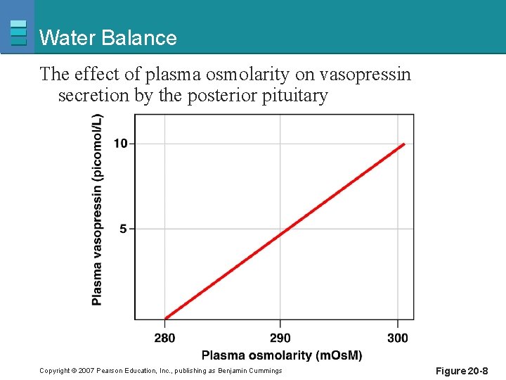 Water Balance The effect of plasma osmolarity on vasopressin secretion by the posterior pituitary