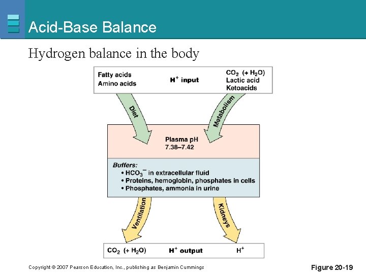 Acid-Base Balance Hydrogen balance in the body Copyright © 2007 Pearson Education, Inc. ,