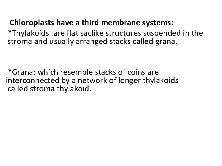 Chloroplasts have a third membrane systems: *Thylakoids : are flat saclike structures suspended in