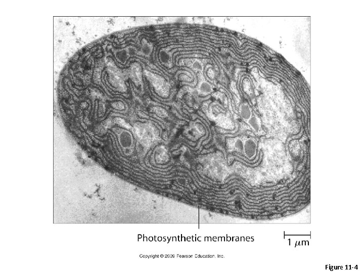 Figure 11 -4 