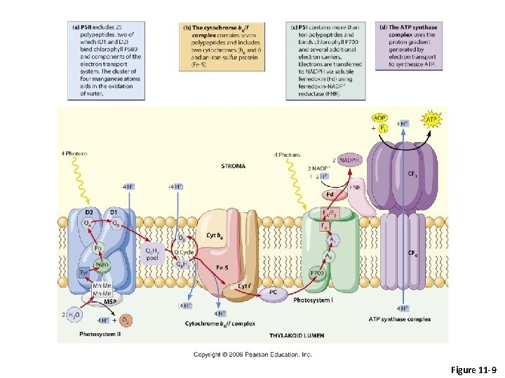 Figure 11 -9 