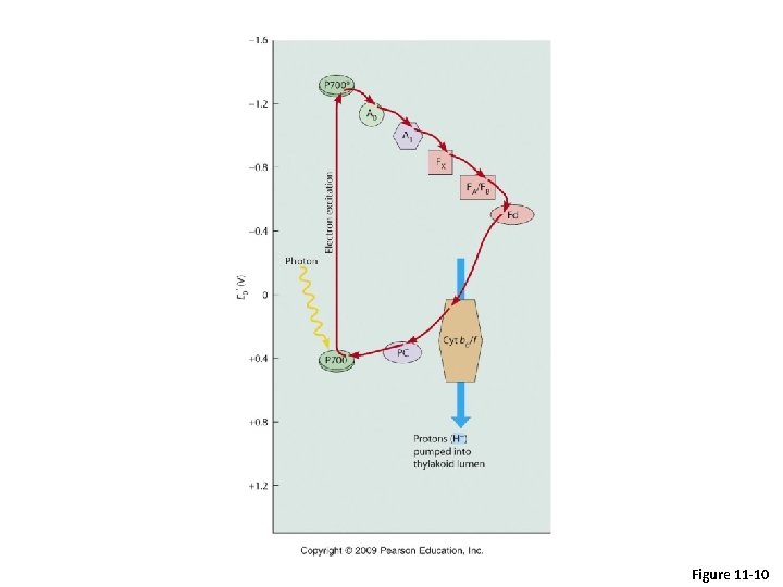 Figure 11 -10 