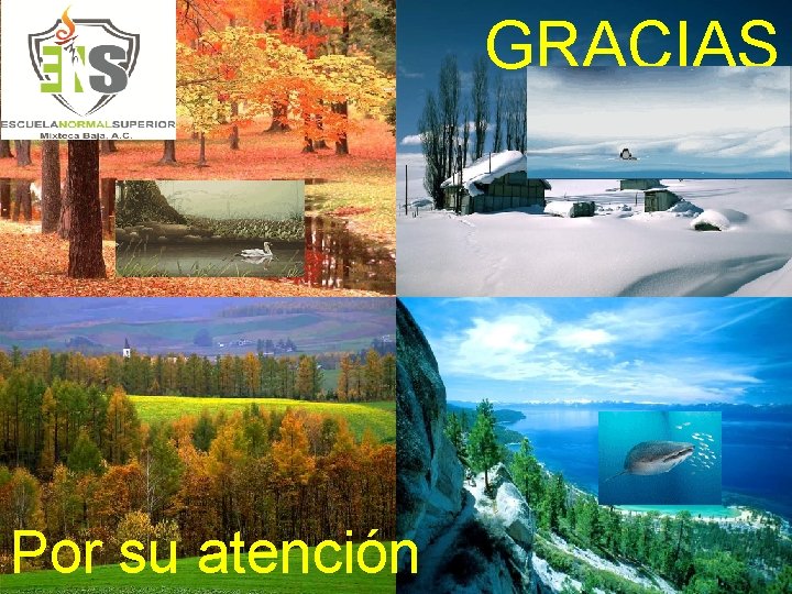 GRACIAS Por su atención 