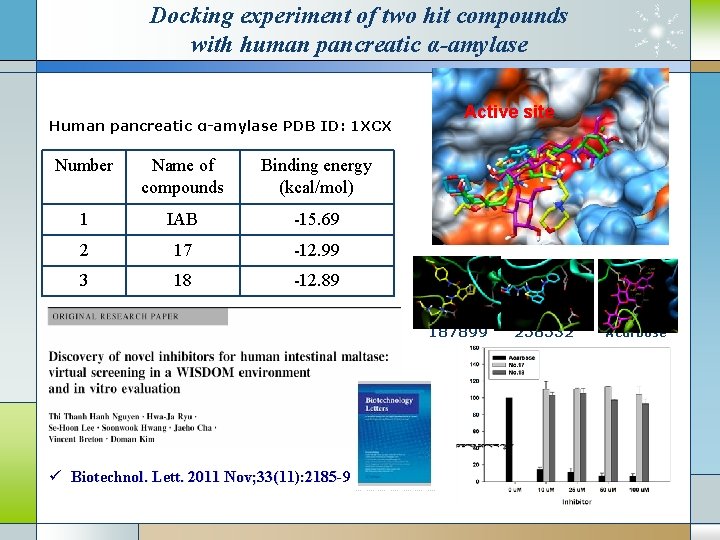Virtual screening and inhibition assay of human intestinal