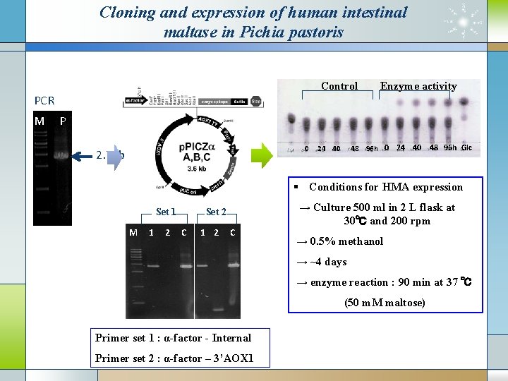 Virtual screening and inhibition assay of human intestinal