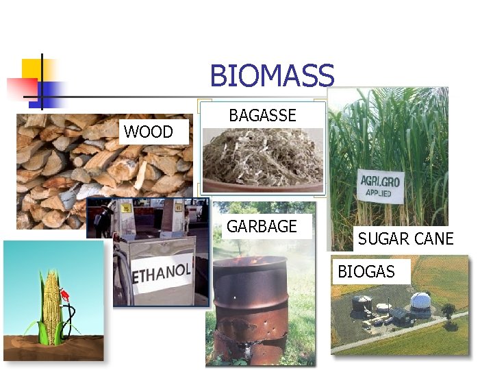 BIOMASS WOOD BAGASSE GARBAGE SUGAR CANE BIOGAS 