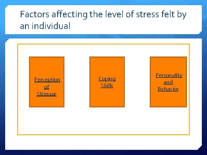 Factors affecting the level of stress felt by an individual Perception of Stressor Coping