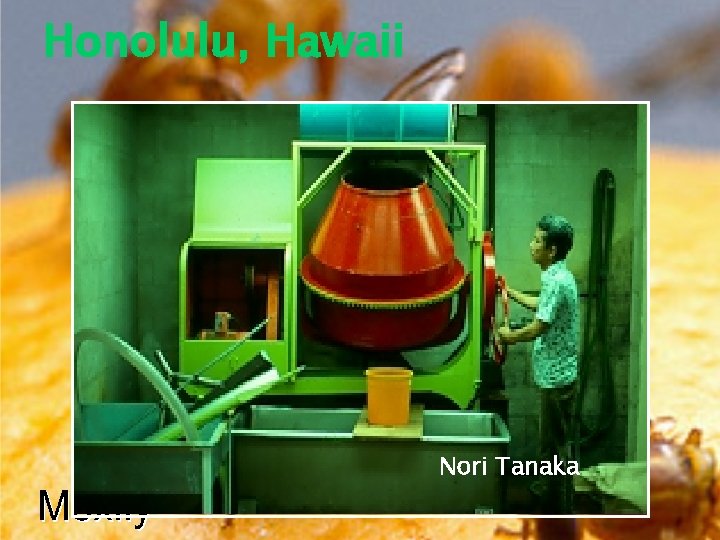 Honolulu, Hawaii Nori Tanaka 