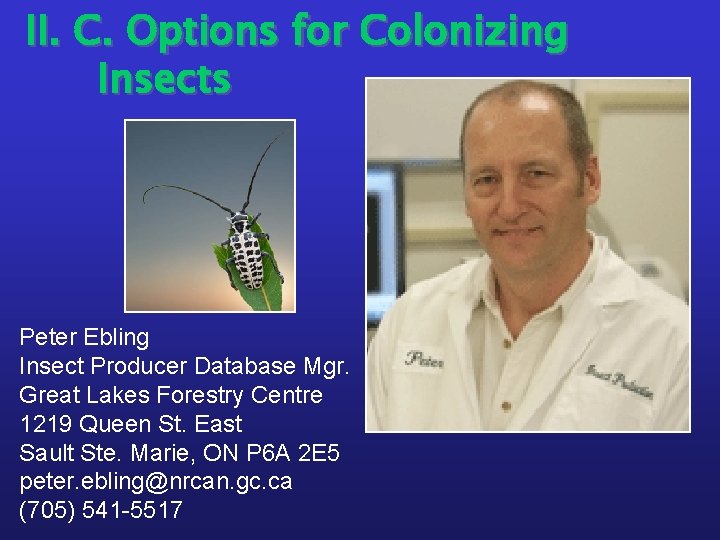 II. C. Options for Colonizing Insects Peter Ebling Insect Producer Database Mgr. Great Lakes