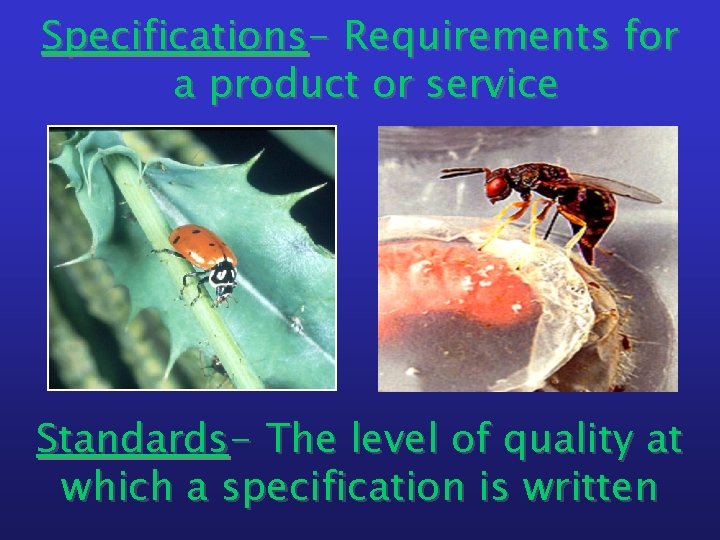 Specifications- Requirements for a product or service Standards- The level of quality at which