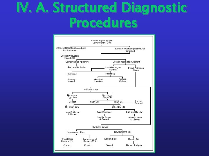 IV. A. Structured Diagnostic Procedures 