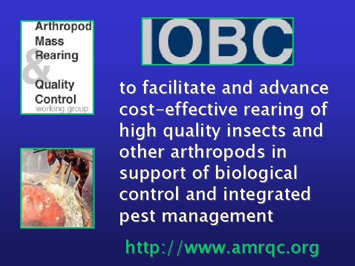 to facilitate and advance cost-effective rearing of high quality insects and other arthropods in