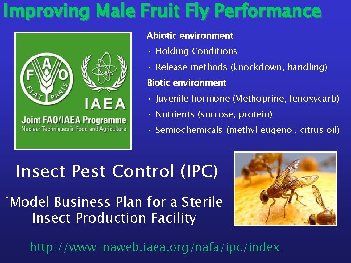 Improving Male Fruit Fly Performance Abiotic environment • Holding Conditions • Release methods (knockdown,