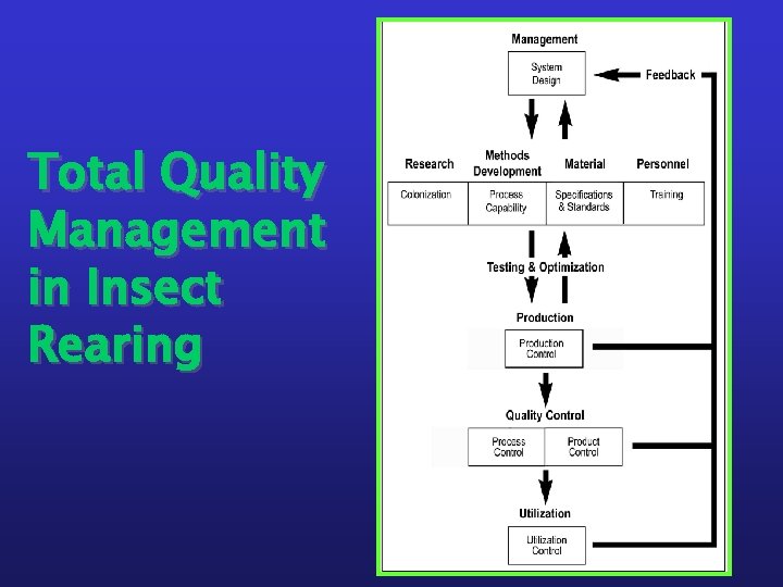 Total Quality Management in Insect Rearing 