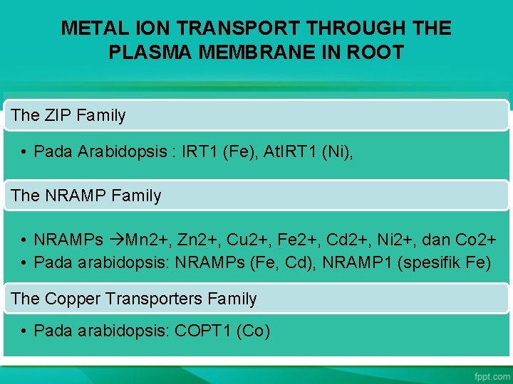 METAL ION TRANSPORT THROUGH THE PLASMA MEMBRANE IN ROOT The ZIP Family • Pada