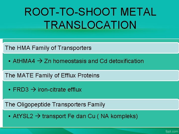 ROOT-TO-SHOOT METAL TRANSLOCATION The HMA Family of Transporters • At. HMA 4 Zn homeostasis