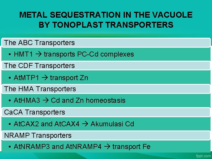METAL SEQUESTRATION IN THE VACUOLE BY TONOPLAST TRANSPORTERS The ABC Transporters • HMT 1