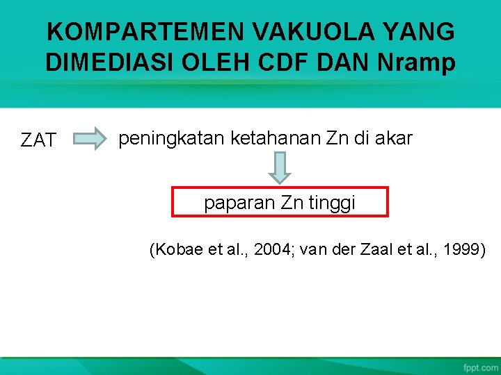 KOMPARTEMEN VAKUOLA YANG DIMEDIASI OLEH CDF DAN Nramp ZAT peningkatan ketahanan Zn di akar