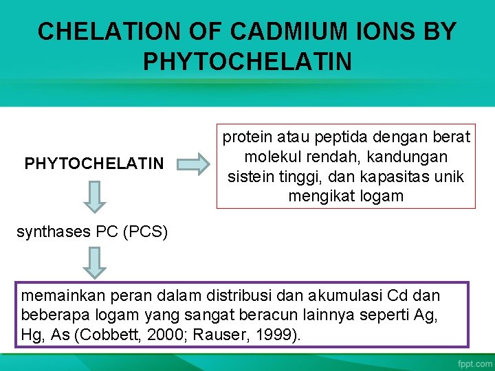 CHELATION OF CADMIUM IONS BY PHYTOCHELATIN protein atau peptida dengan berat molekul rendah, kandungan