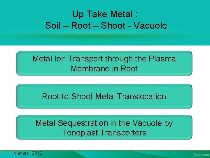 Up Take Metal : Soil – Root – Shoot - Vacuole Metal Ion Transport