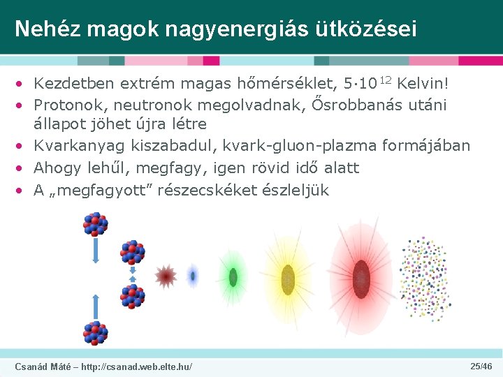 Nehéz magok nagyenergiás ütközései • Kezdetben extrém magas hőmérséklet, 5∙ 1012 Kelvin! • Protonok,